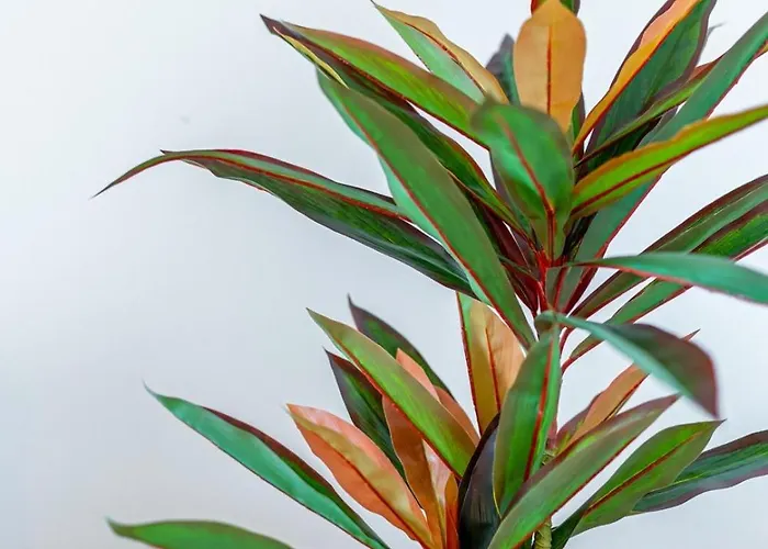 Lifestyle At By Upperground Apartman *