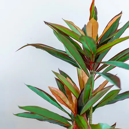 Lifestyle At By Upperground Lägenhet *